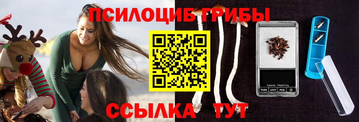 Псилоцибиновые грибы GOLDEN TEACHER  цена   Сатка  Вход с VPN 
